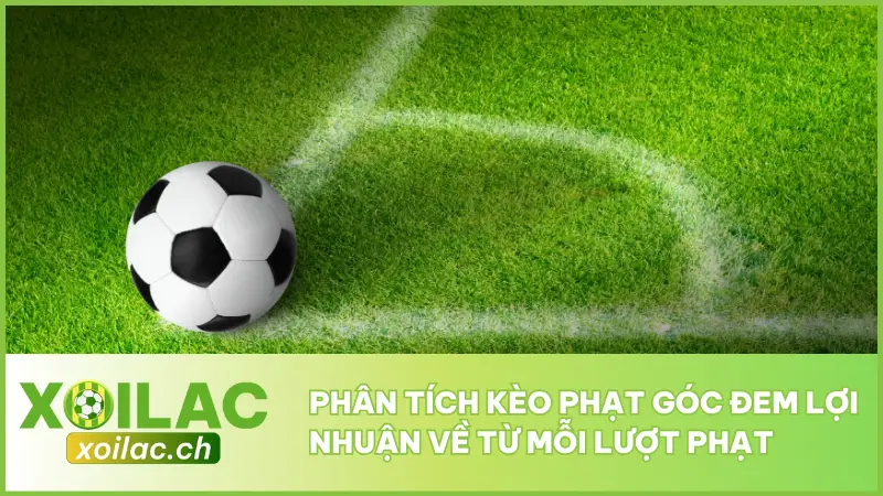 Phân Tích Kèo Phạt Góc Đem Lợi Nhuận Về Từ Mỗi Lượt Phạt 1 Phân Tích Kèo Phạt Góc Đem Lợi Nhuận Về Từ Mỗi Lượt Phạt
